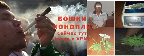молекула духа Аркадак