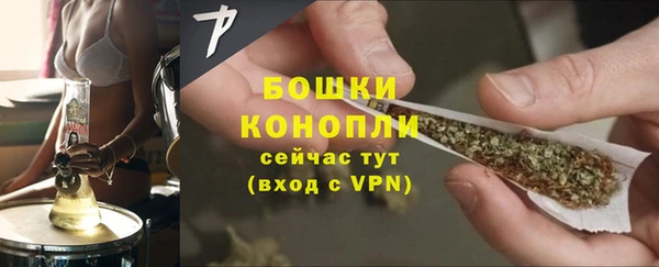 шишки Баксан