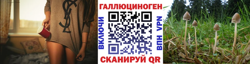 мега маркетплейс сайты даркнета формула Псилоцибиновые грибы ЛСД Городище